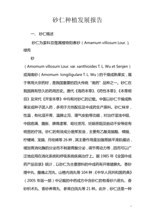 砂仁种植发展报告