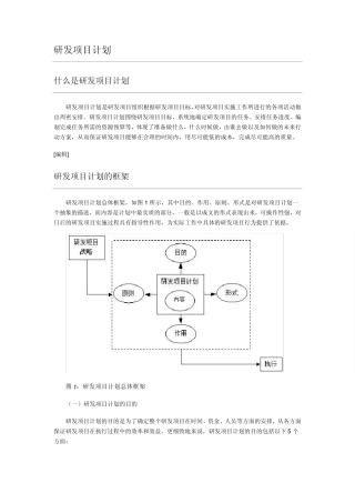 研发项目计划