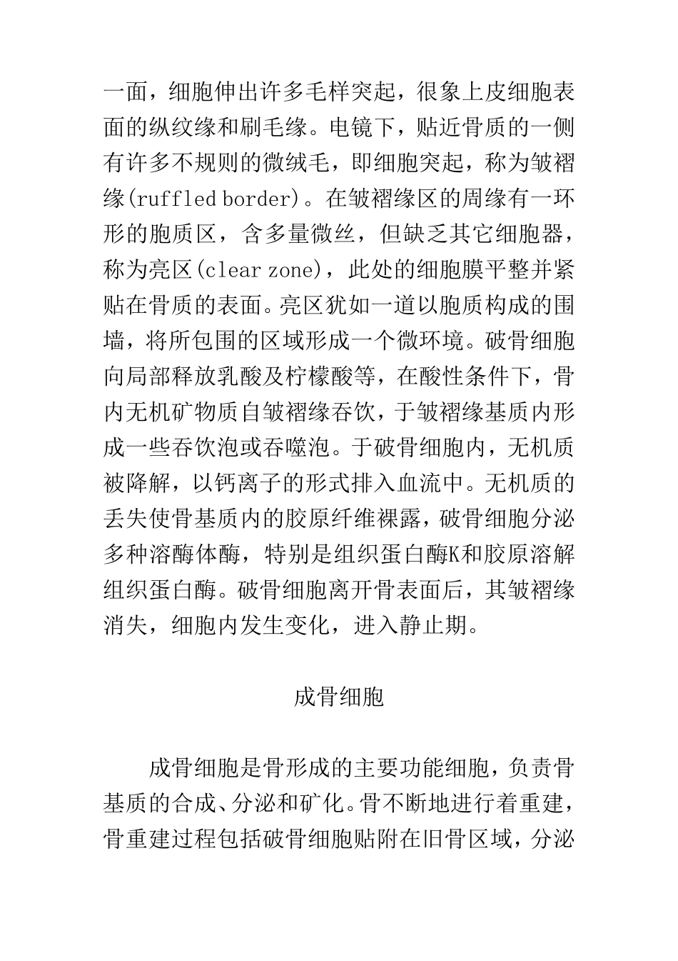 破骨细胞与成骨细胞_第2页