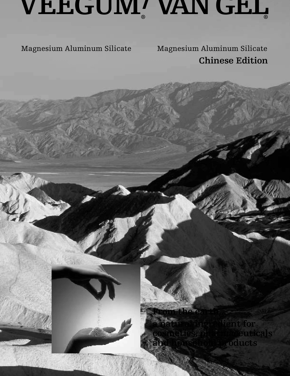 硅酸铝镁产品简介VeegumVangel%20Chinese_第1页