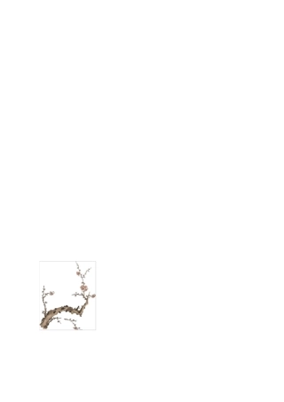 硬笔书法作品纸模版空白纸)