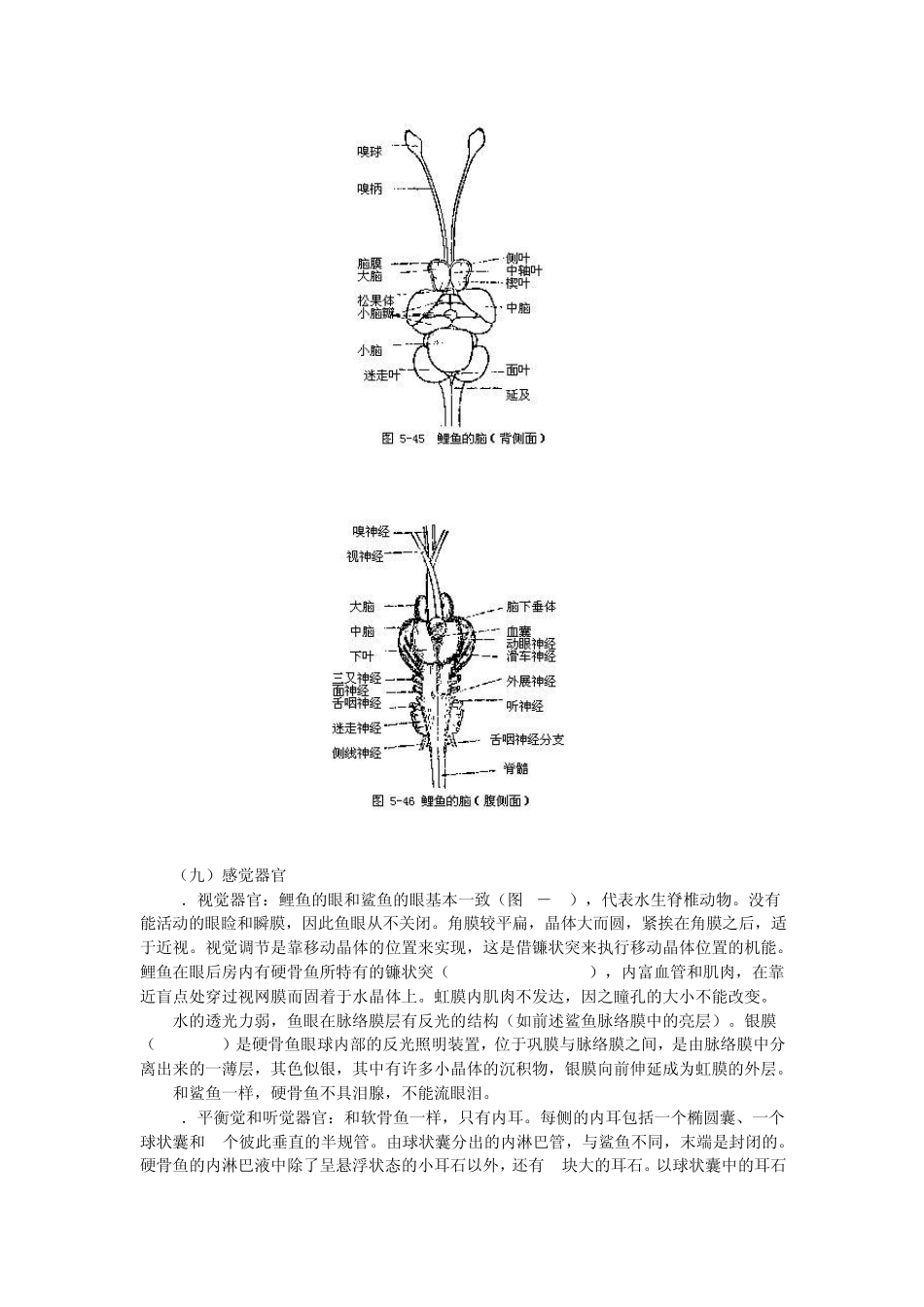 硬骨鱼的心脏和软骨鱼不同之处是心脏不具动脉圆锥而有_第2页