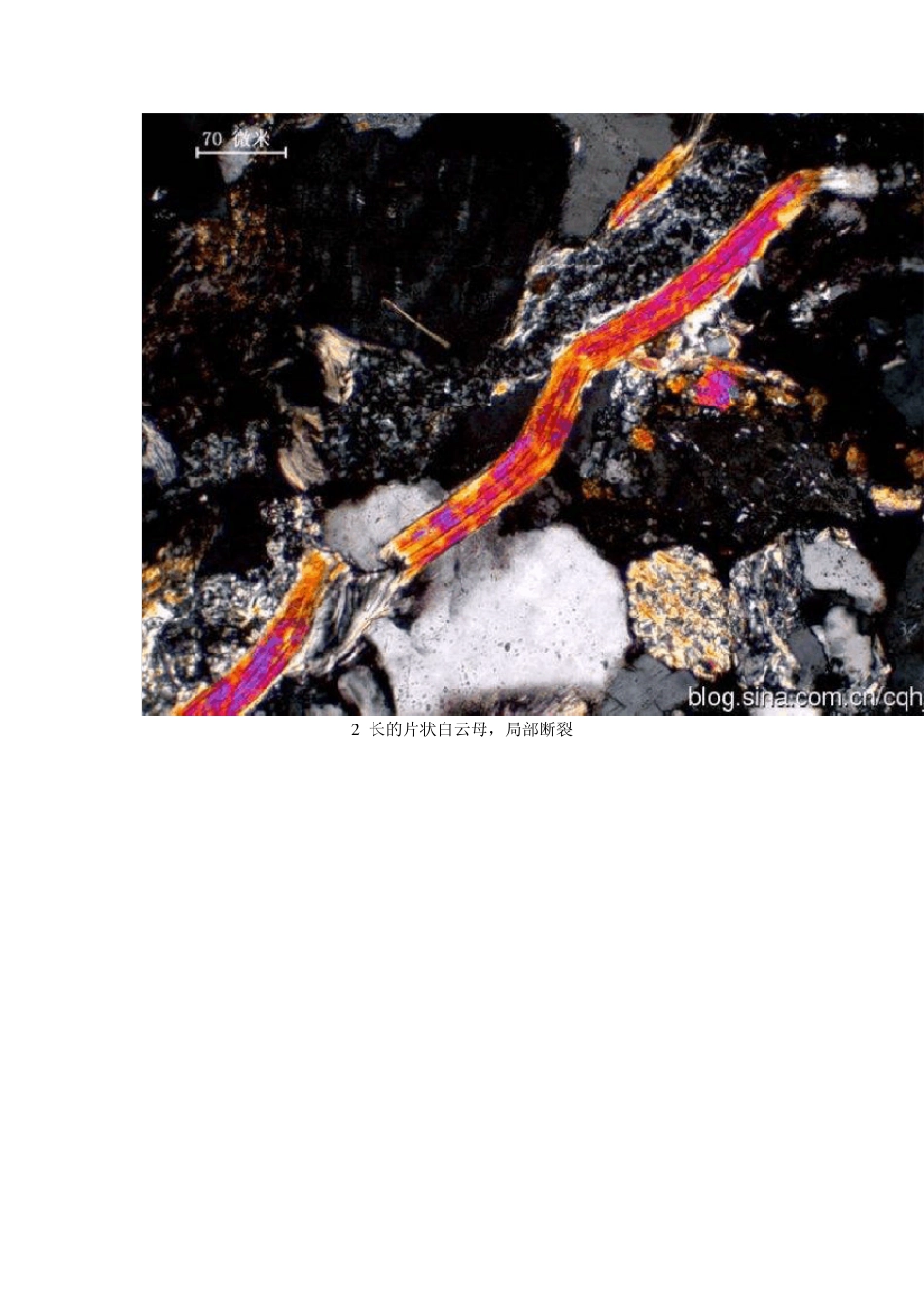 碎屑岩组分的显微镜下特征系列之其他陆源组分_第3页