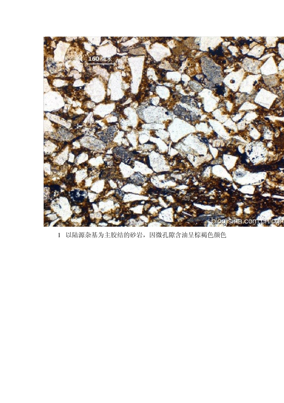 碎屑岩组分的显微镜下特征系列之杂基_第3页