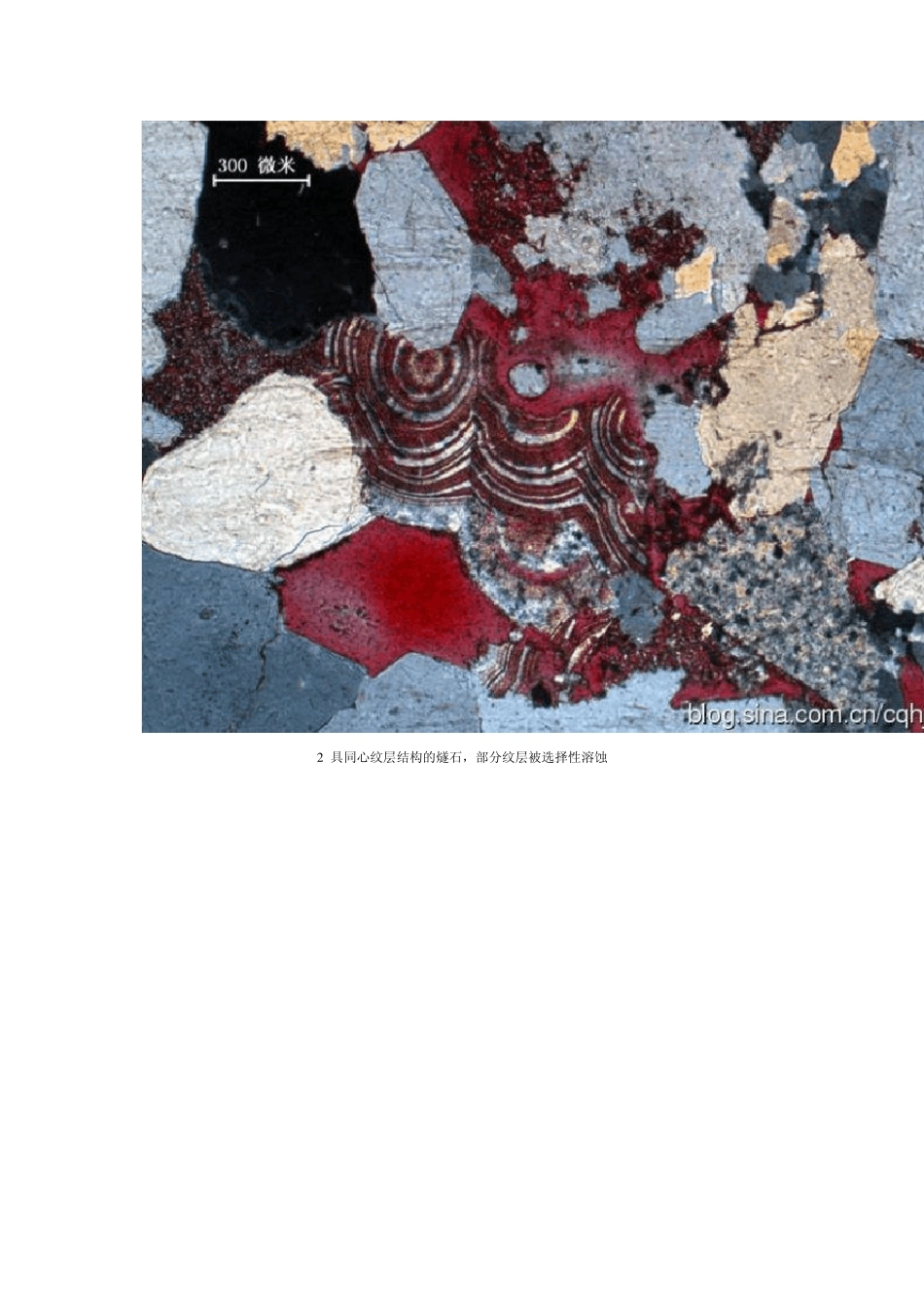 碎屑岩组分的显微镜下特征系列之燧石_第3页