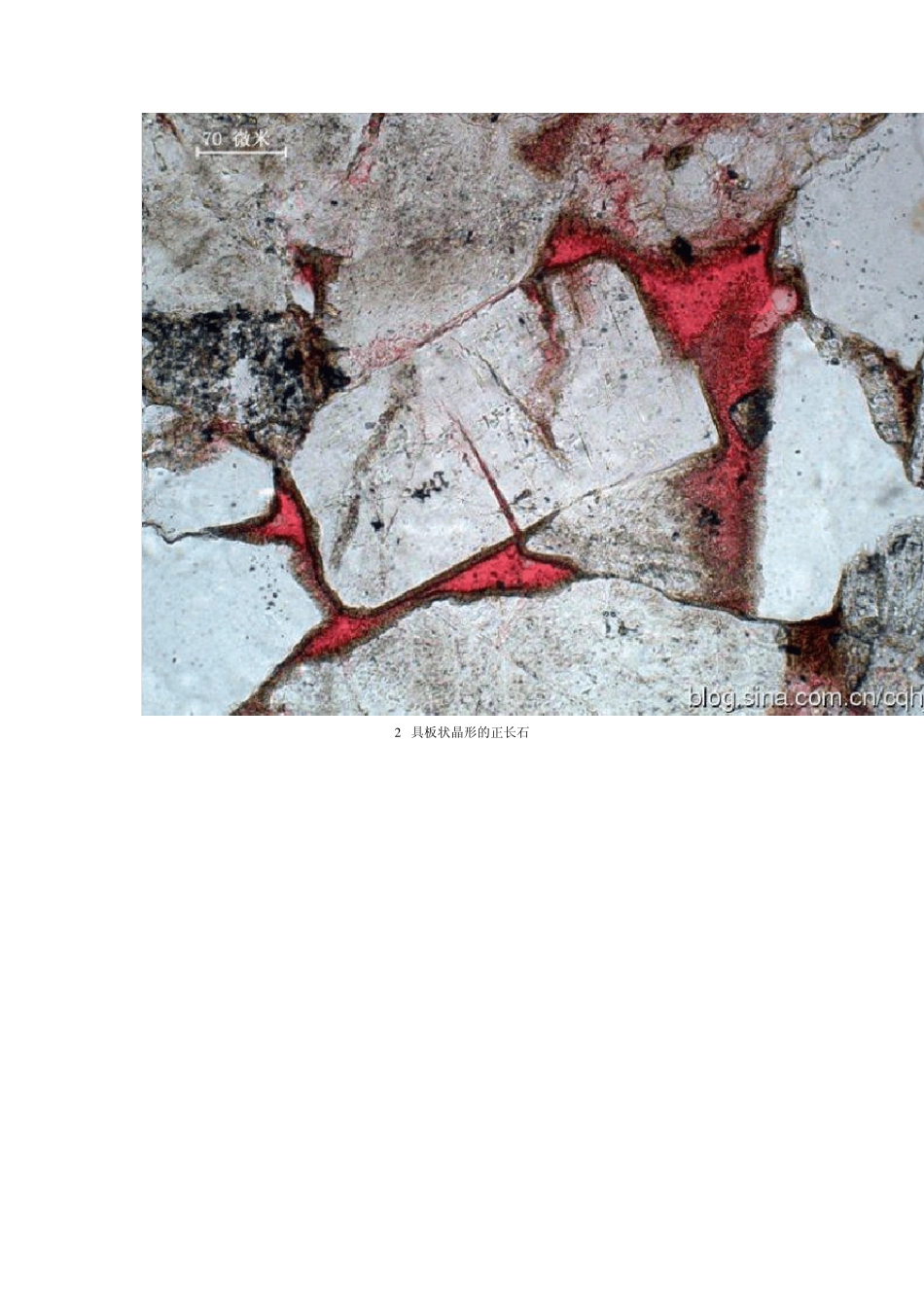 碎屑岩组分的显微镜下特征系列之长石_第3页