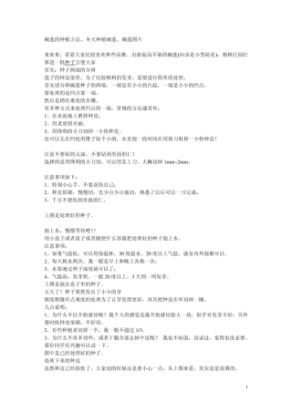 碗莲的种植方法