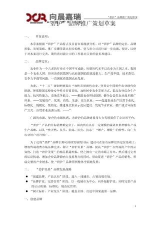 碧护品牌营销策划草案