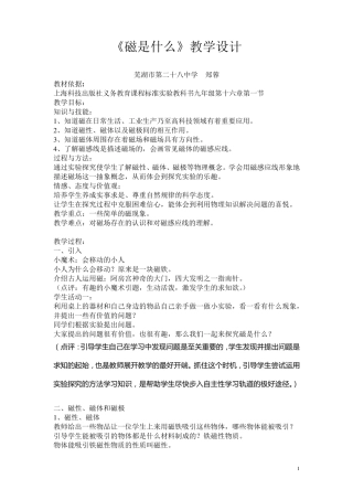 磁是什么教学设计