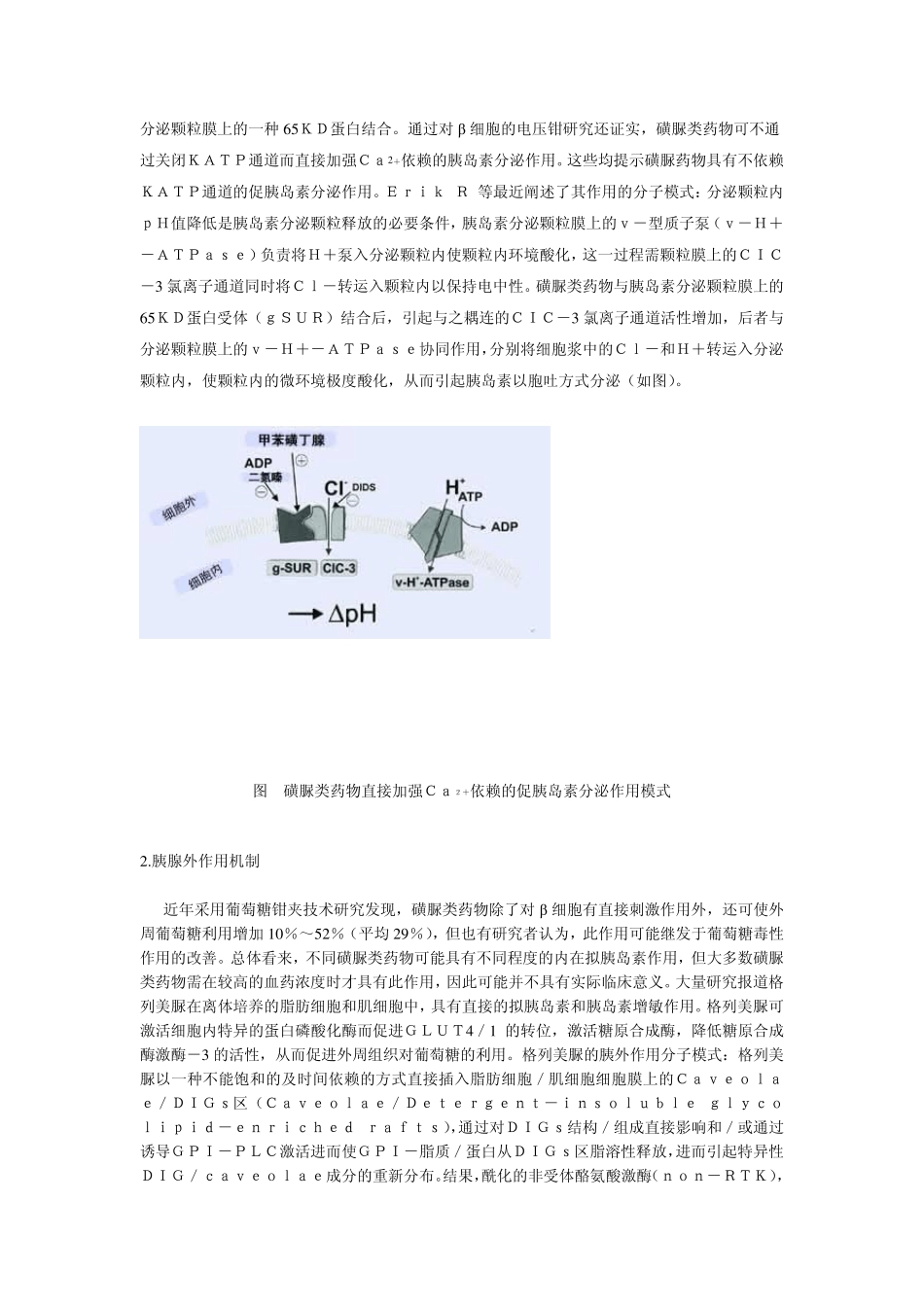磺脲类药物应用的专家共识_第3页