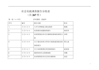社会实践调查报告分组表
