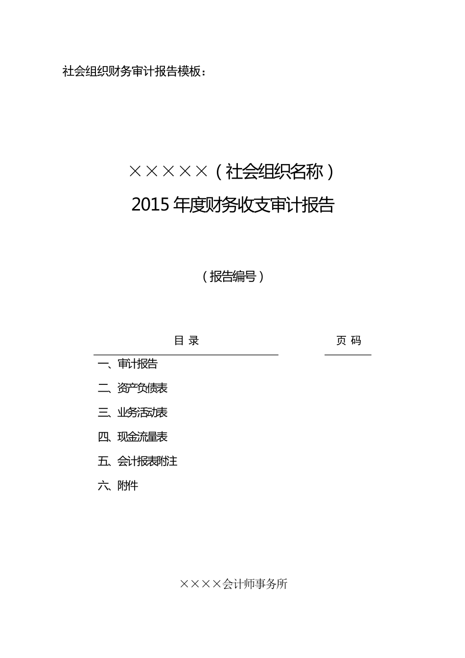社会组织审计报告模板_第1页