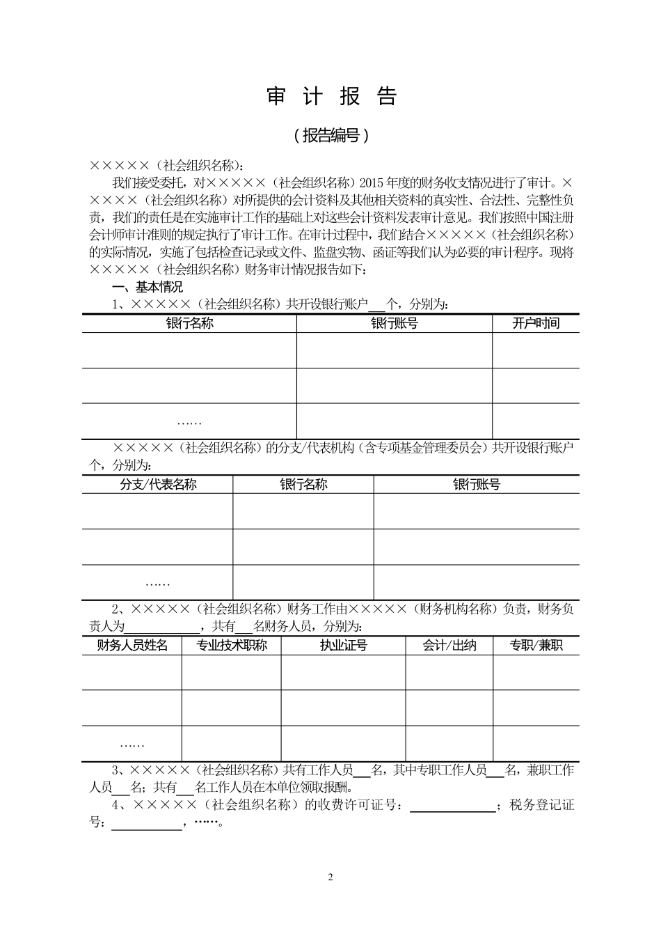 社会组织审计报告模板_第3页