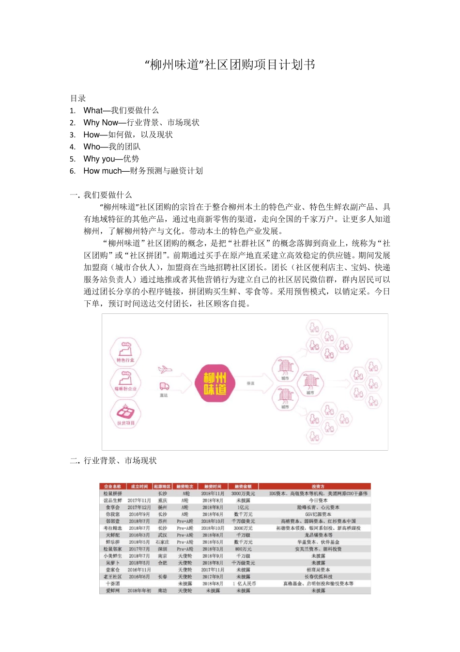 社区团购商业计划书_第1页