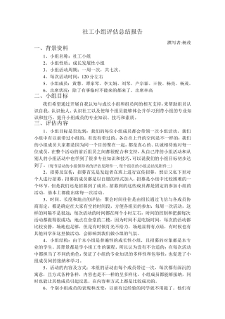 社工小组总结报告