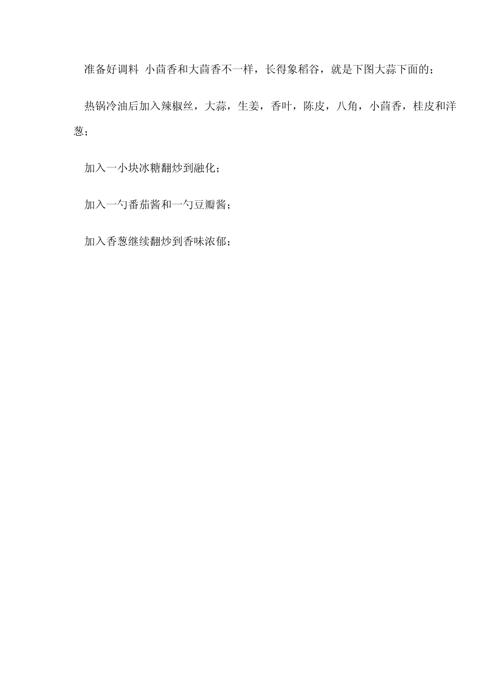 祖传红烧牛肉面_第3页