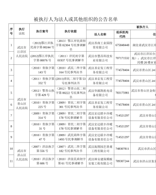 被执行人为法人或其他组织的公告名单