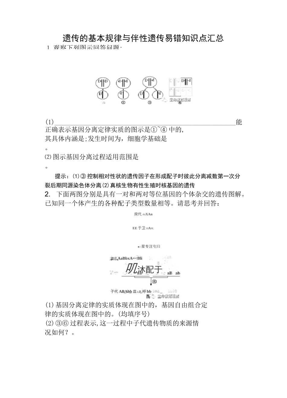 高中生物必修二遗传的基本规律与伴性遗传易错知识点归纳_第1页