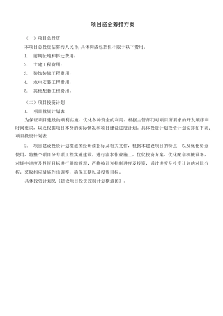 项目资金筹措方案样板doc)