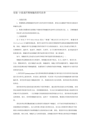 小鼠成纤维细胞原代培养