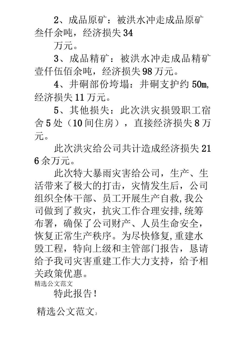 洪灾受损情况报告_第2页