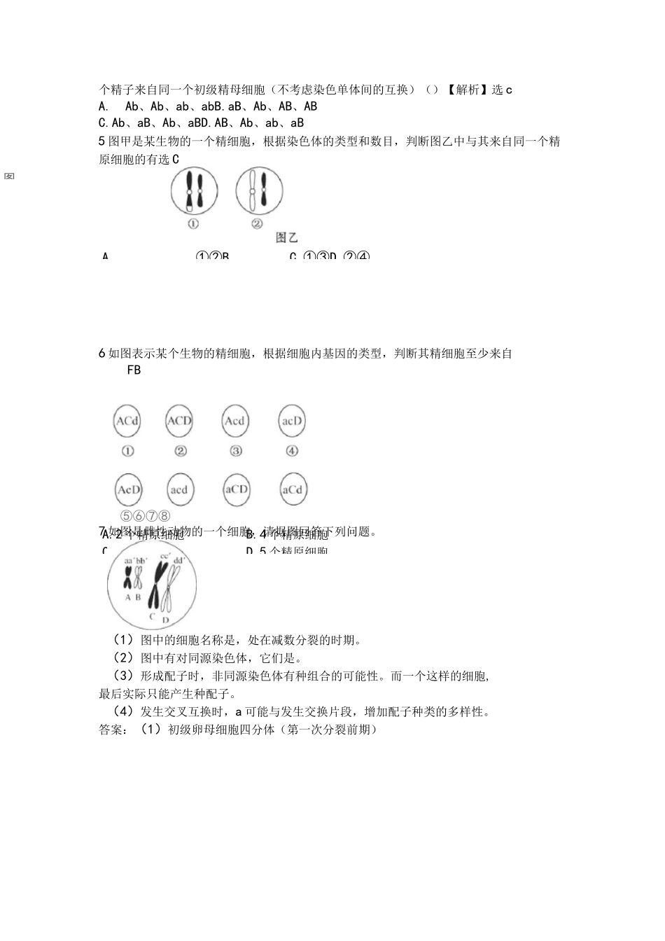 减数分裂考点及题型_第2页