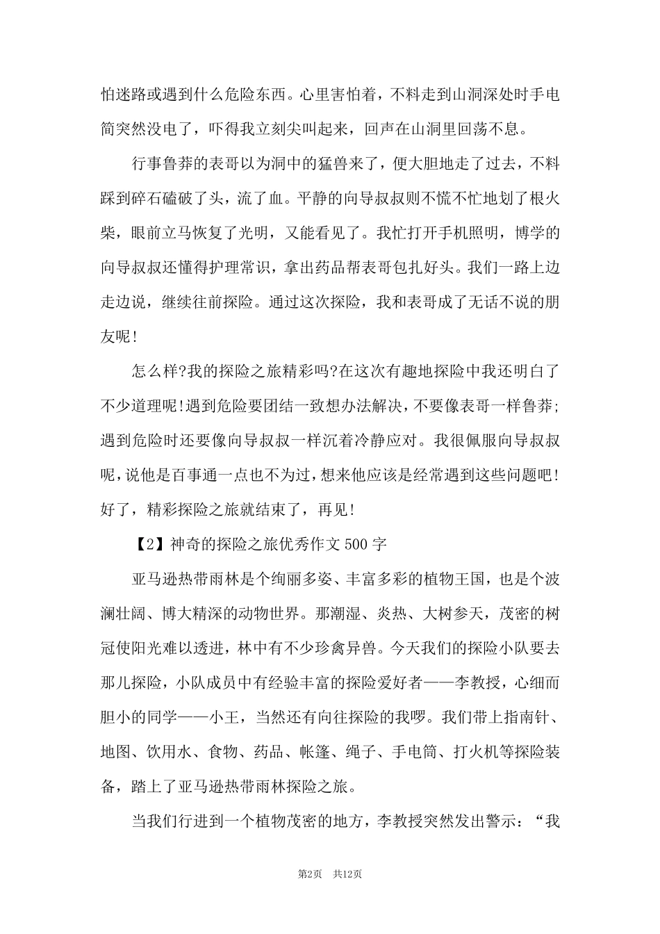 神奇的探险之旅优秀作文500字范文10篇_第2页