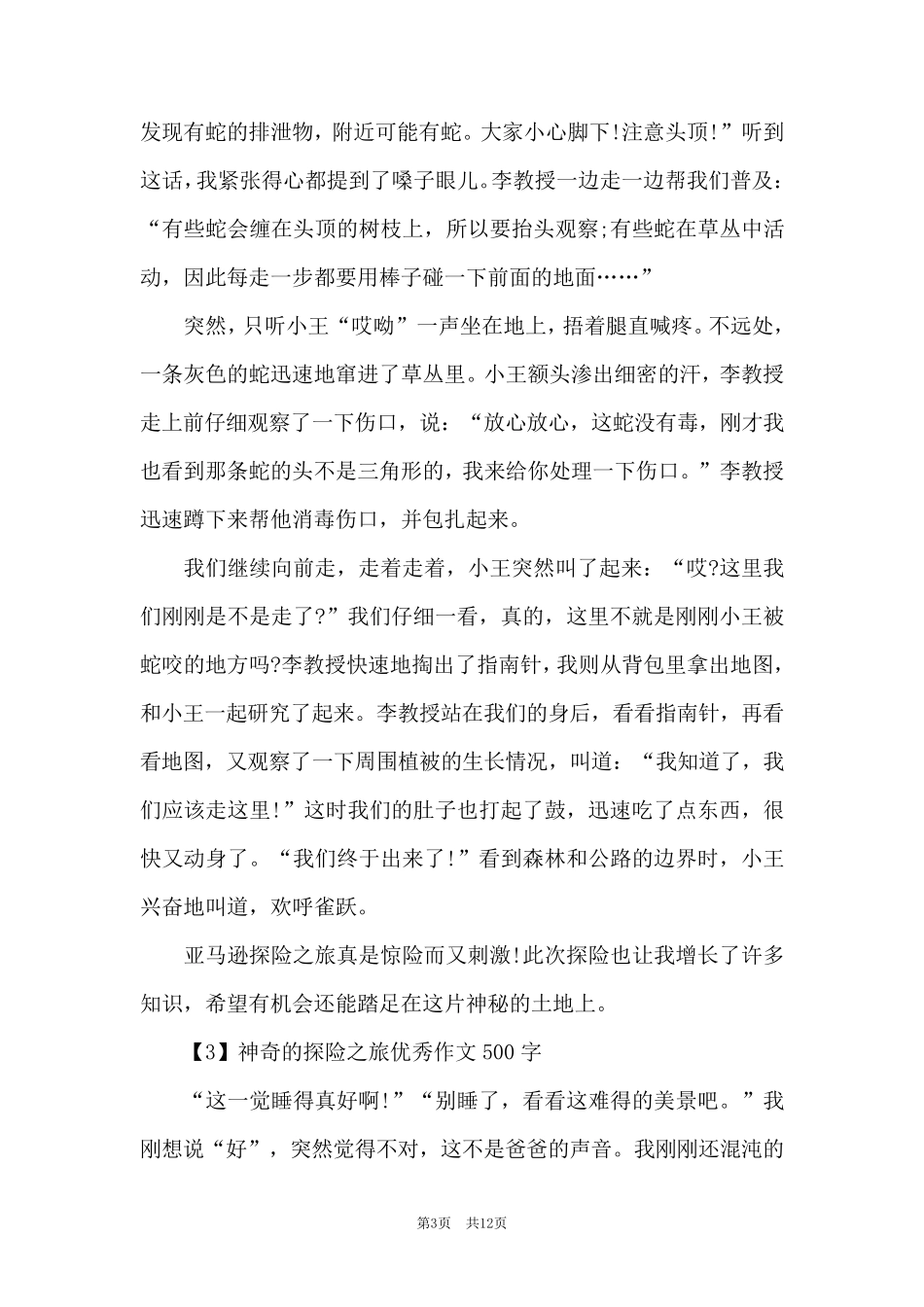 神奇的探险之旅优秀作文500字范文10篇_第3页