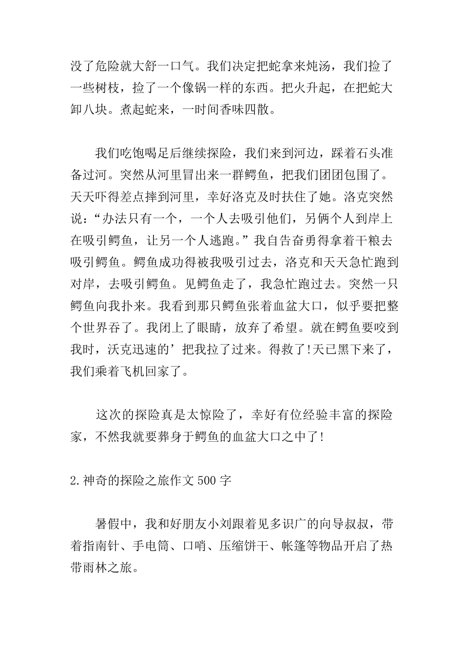 神奇的探险之旅作文500字(5篇)_第2页