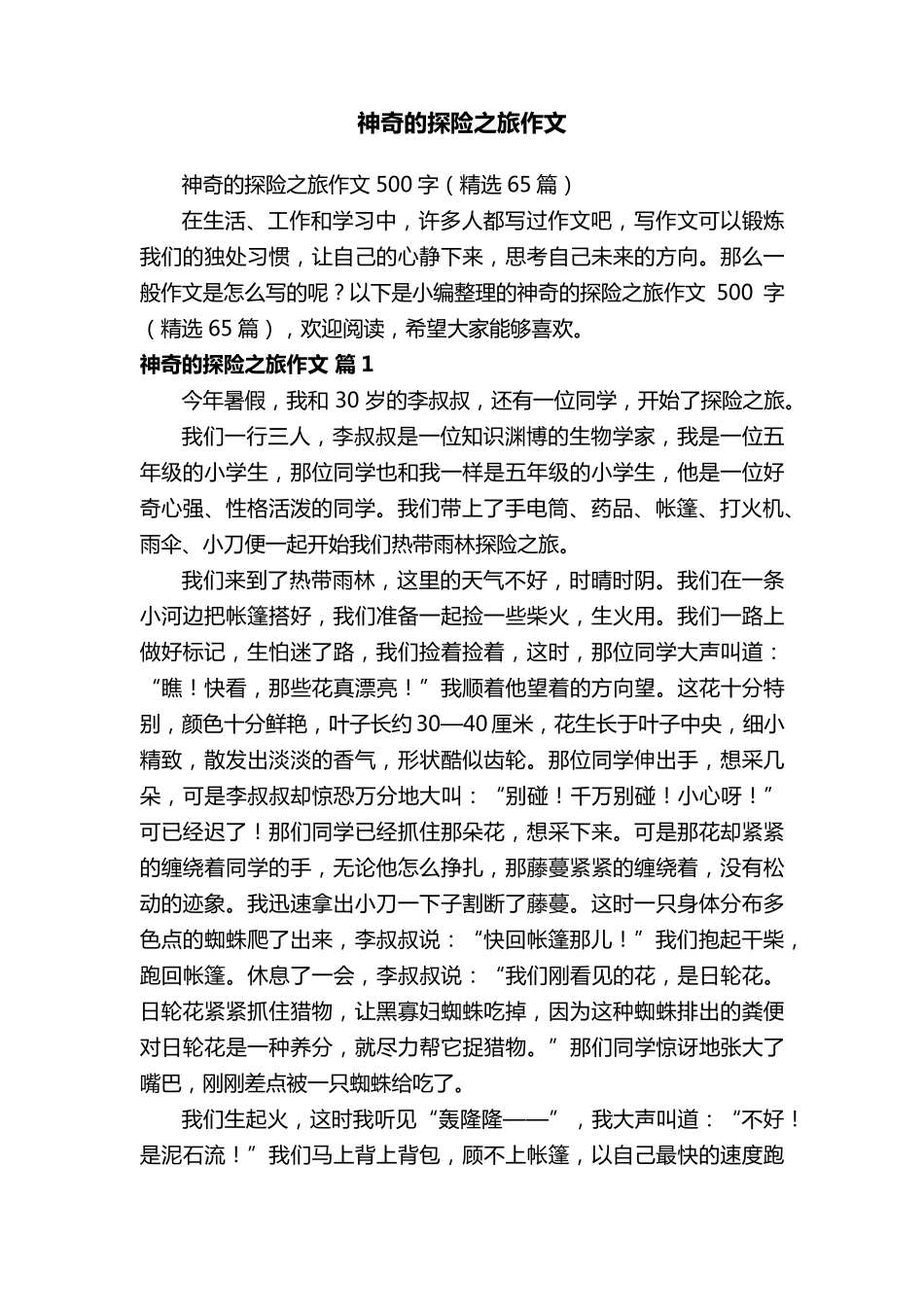 神奇的探险之旅作文500字(65篇)_第1页