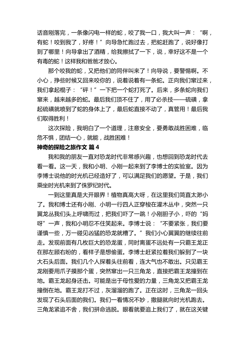 神奇的探险之旅作文范文500字(40篇)_第3页