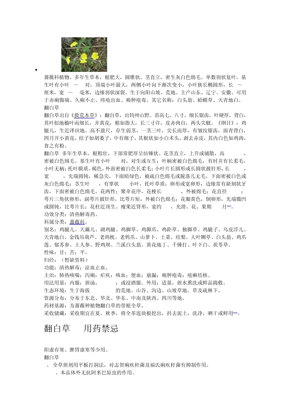 神奇的翻白草降糖真的很管用_第3页