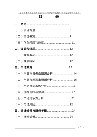 神木县津禾洗煤厂可研报告
