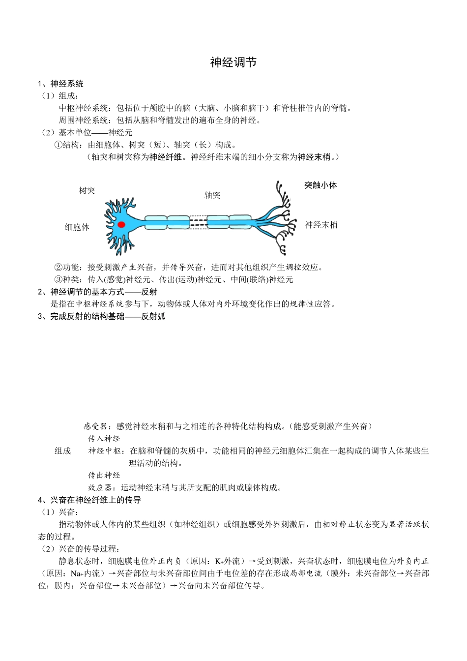 神经体液免疫调节,知识点+练习+答案_第1页