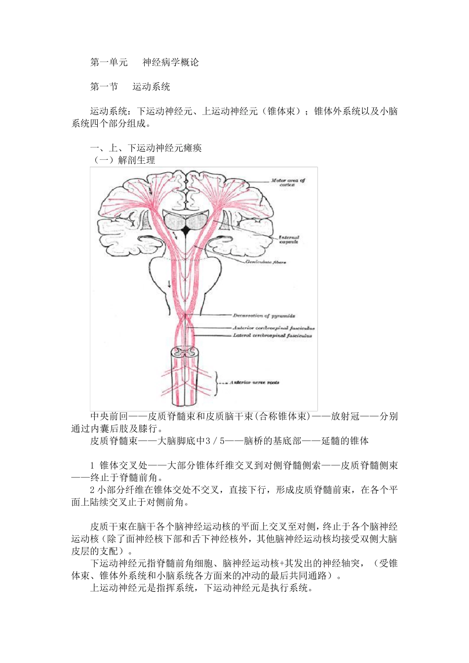 神经内科大全_第1页