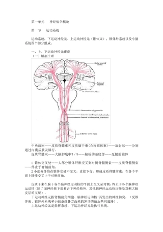 神经内科大全