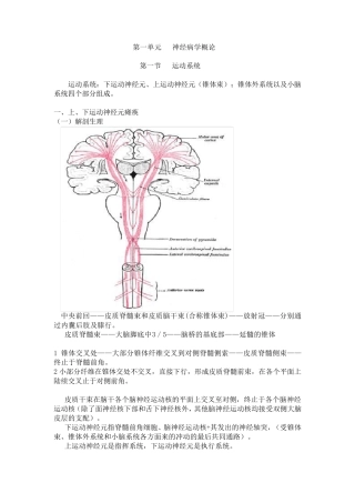 神经病学第七版