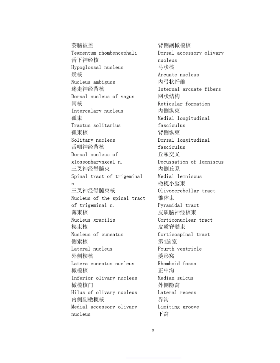 神经科学中英文名词_第3页
