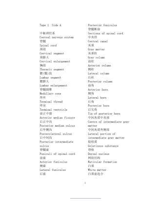 神经科学中英文名词