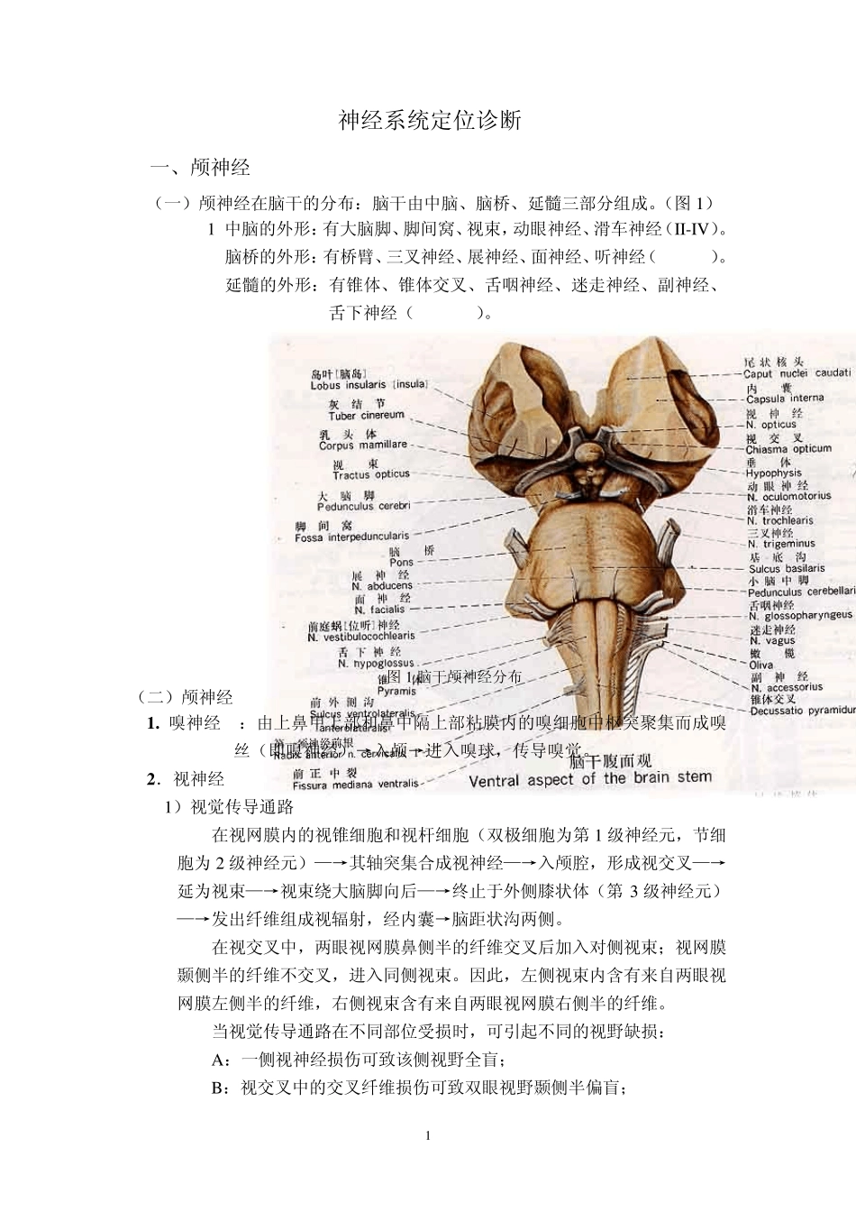 神经系统定位诊断_第1页