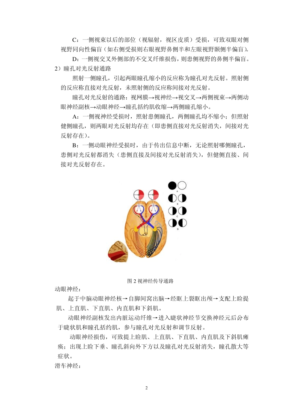 神经系统定位诊断_第2页