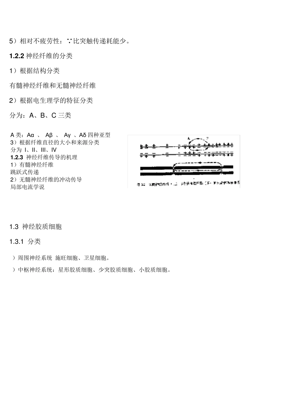 神经系统生理_第2页