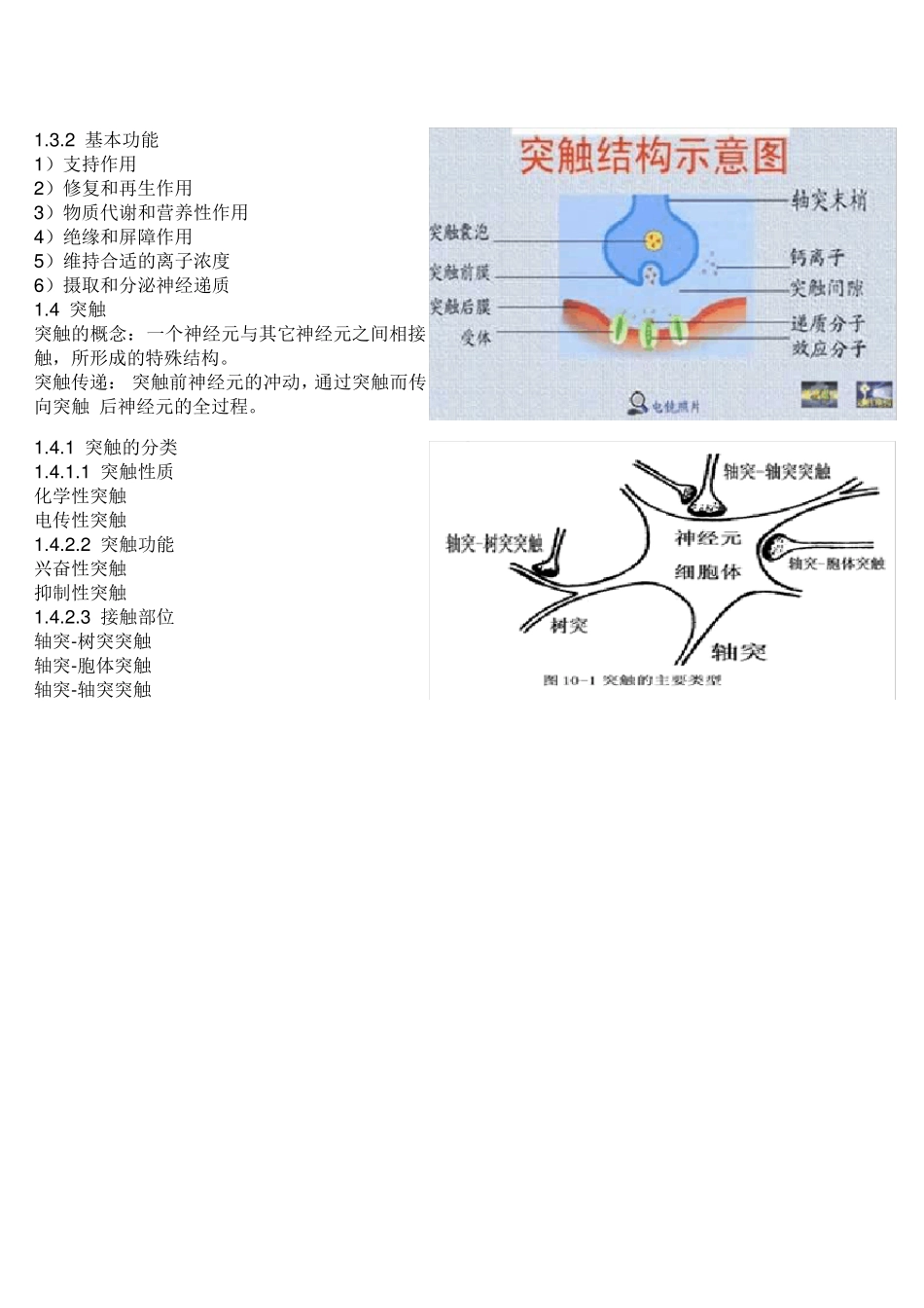 神经系统生理_第3页