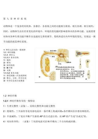 神经系统生理