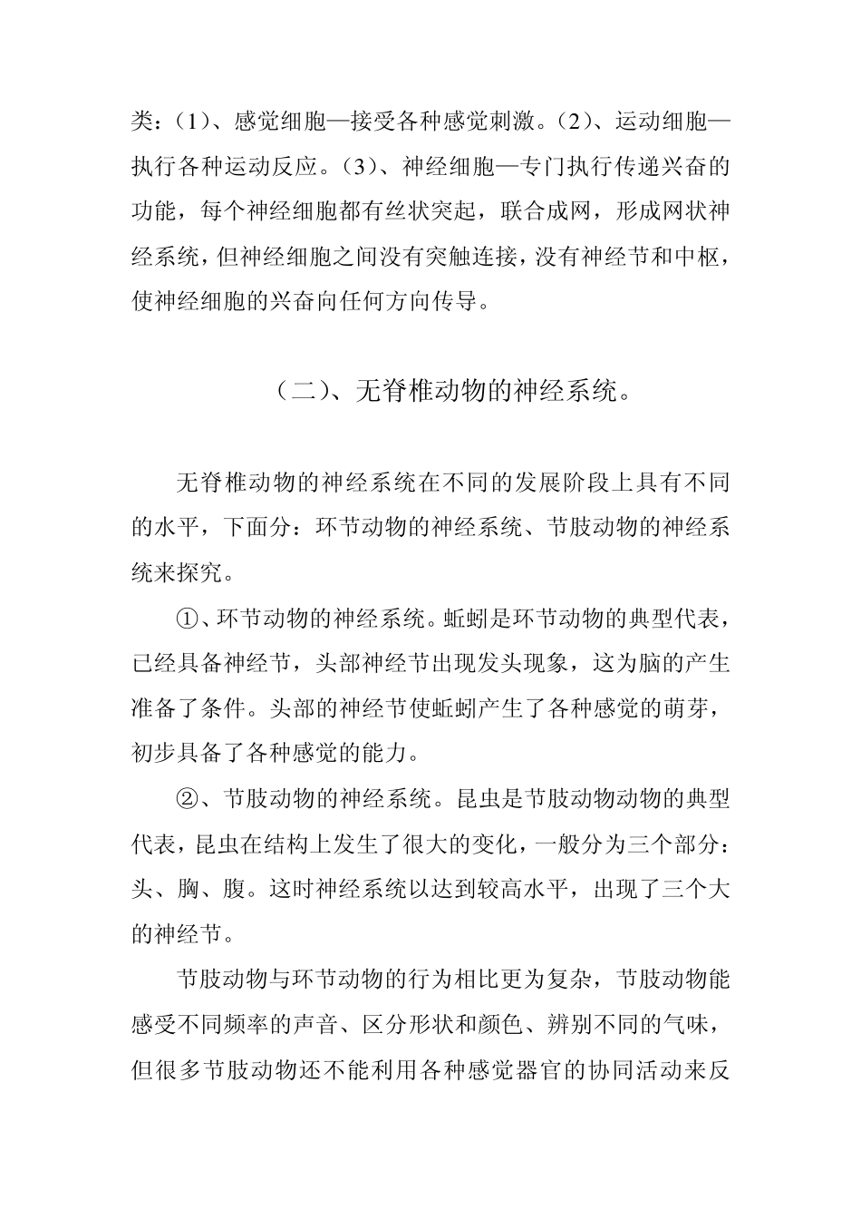 神经系统的产生到完善过程_第3页