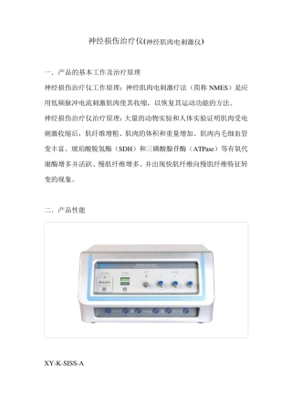 神经肌肉电刺激仪