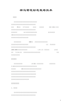 神马菊花切花栽培技术标准