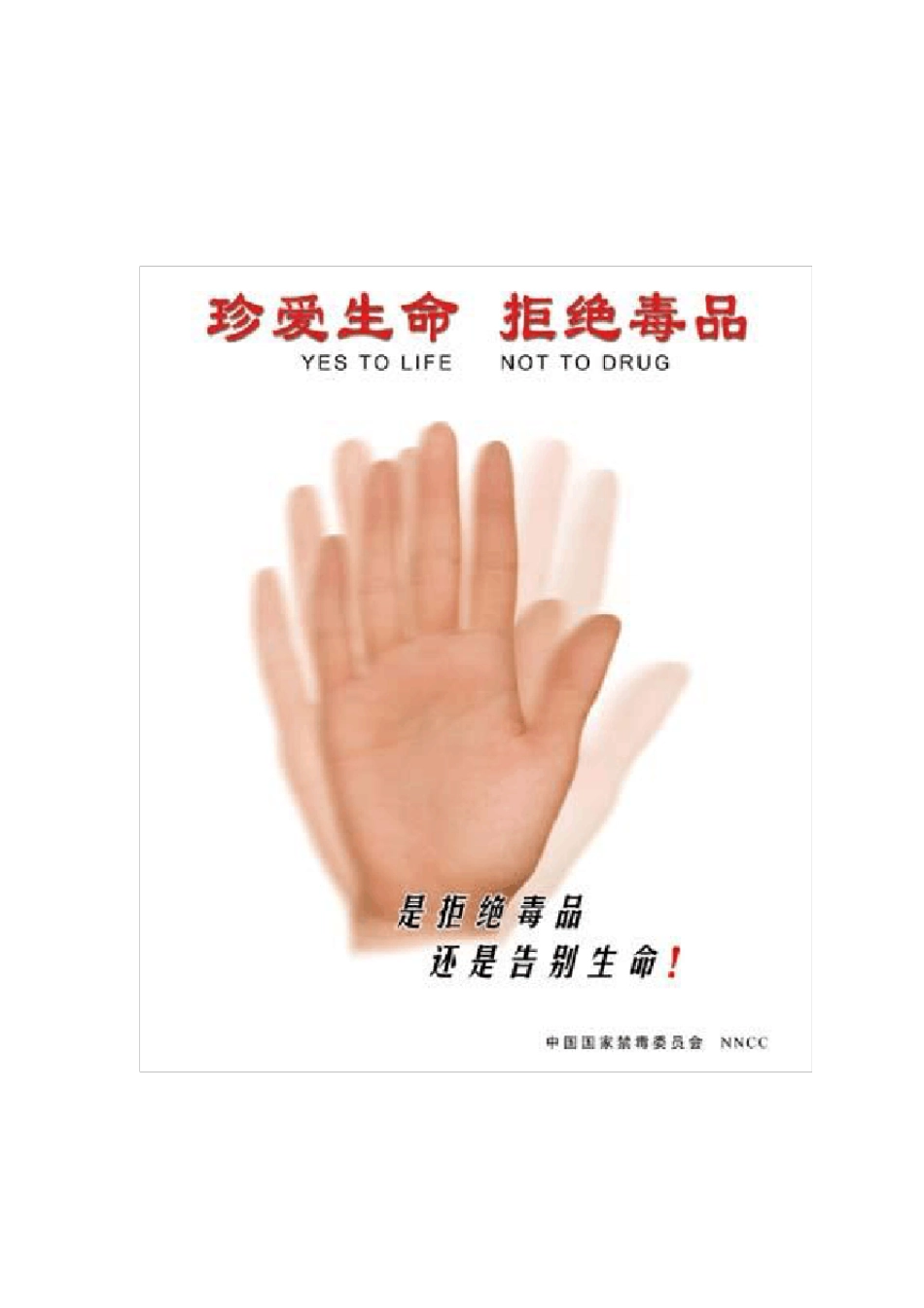 禁毒知识宣传资料_第2页