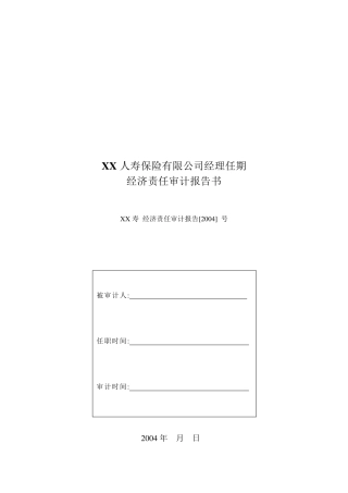 离任审计报告——分公司负责人
