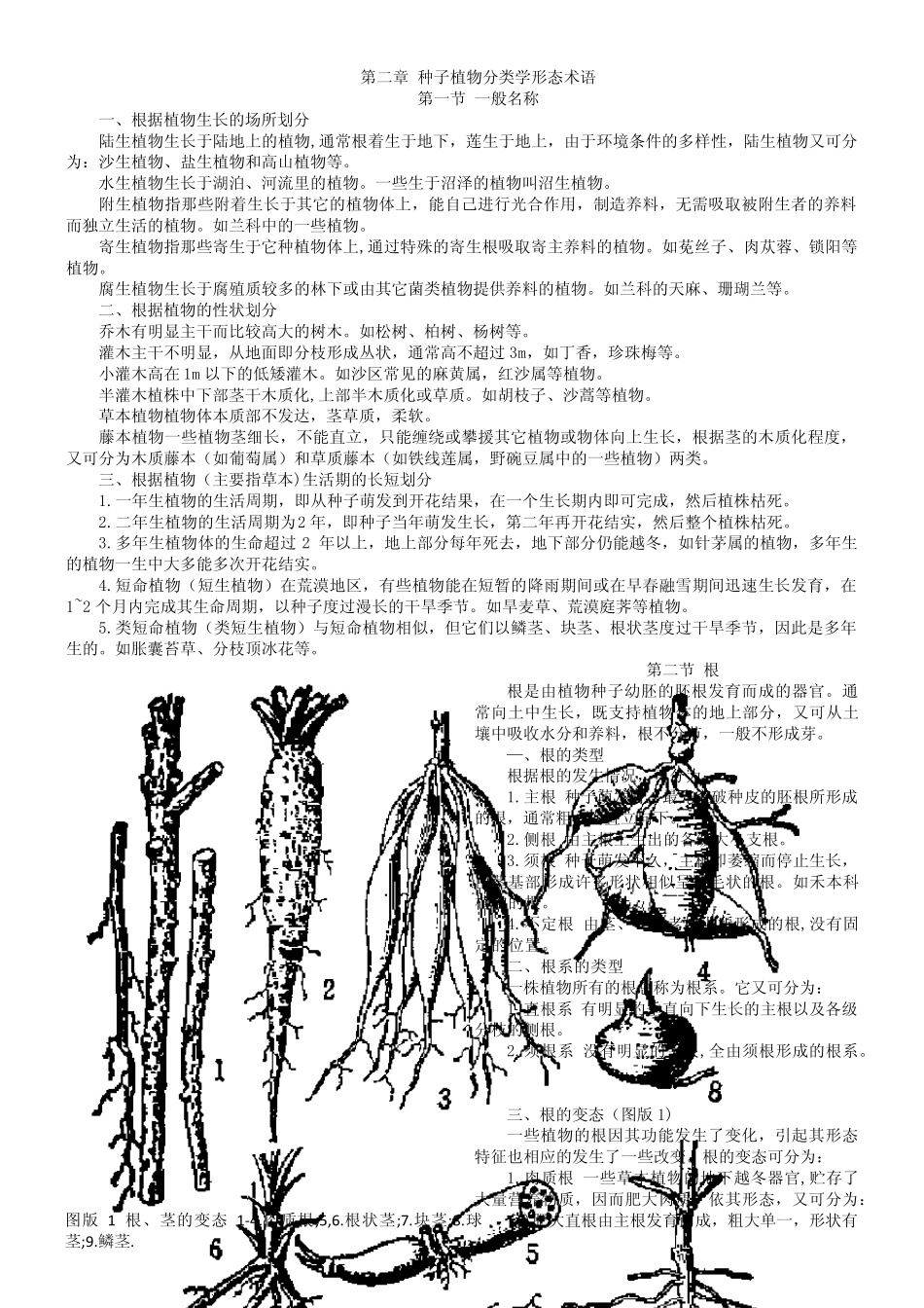 种子植物分类学形态术语_第1页